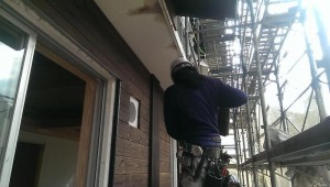 o0800045213198089474