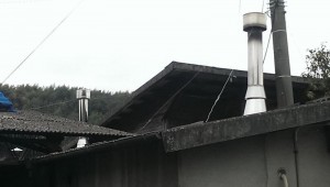 o0800045213212347310